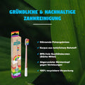 Vorteile der bunten Bambuszahnbürste